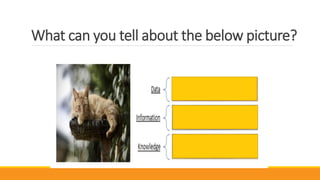 What can you tell about the below picture?
 