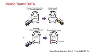 Mouse Tumor DATA
Sung JE et al.,Lab Anim Res. 2017 Jun;33(2):187-194.
 