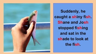 Suddenly, he
caught a shiny fish.
Shane and Josh
stopped fishing
and sat in the
shade to look at
the fish.