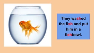 They washed
the fish and put
him in a
fishbowl.