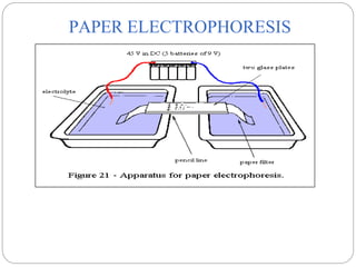 PAPER ELECTROPHORESIS
7
 