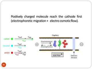 86
Positively charged molecule reach the cathode first
(electrophoretic migration+ electroosmoticflow).
 