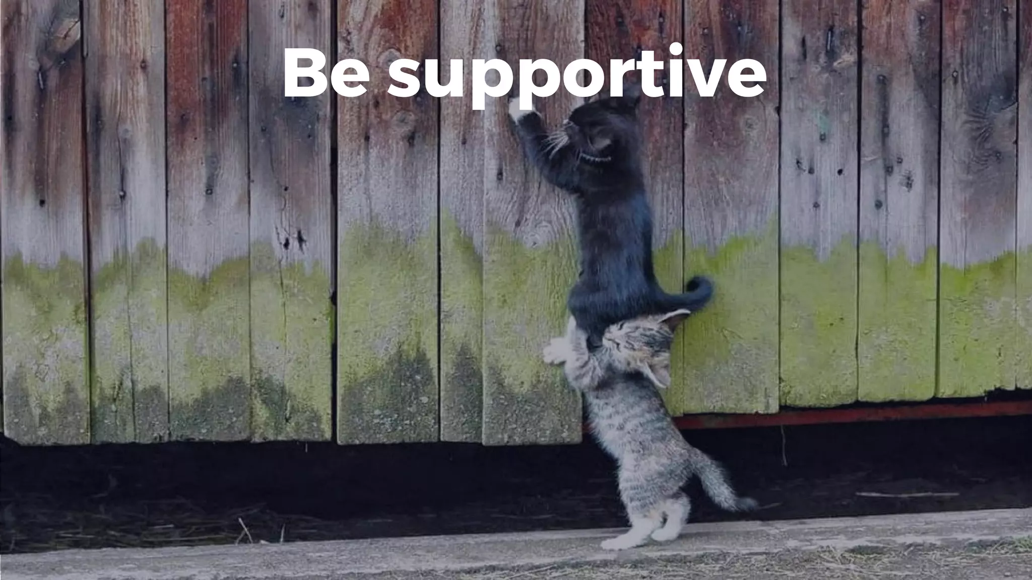 Be supportive
 