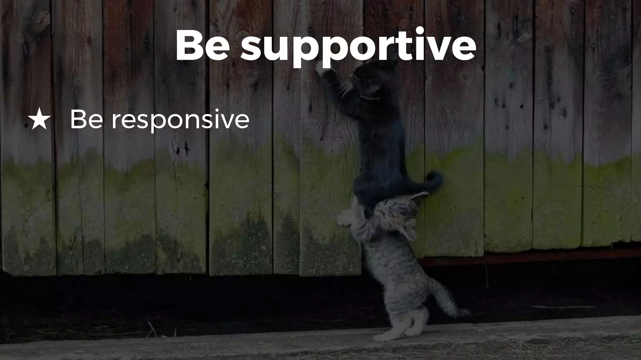 Be supportive
★ Be responsive
 