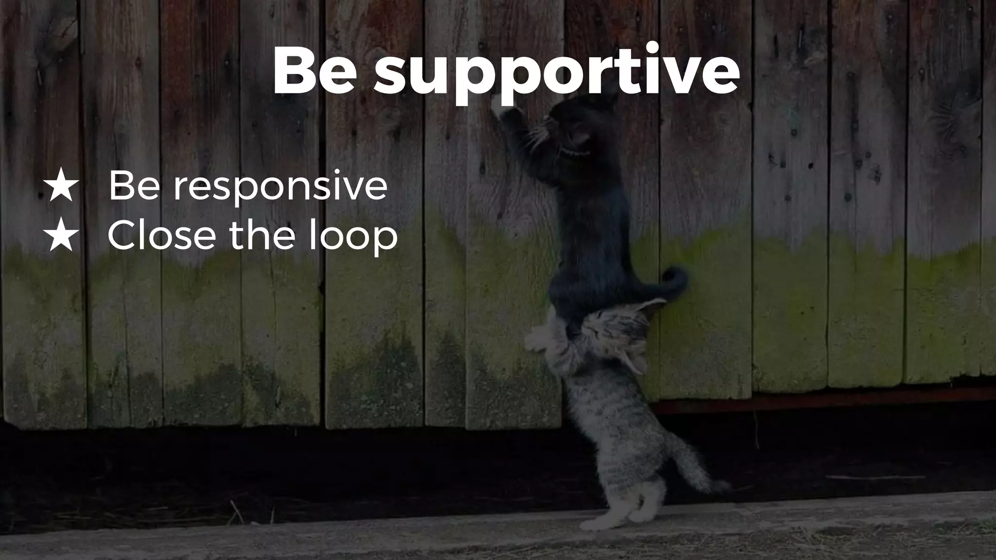 Be supportive
★ Be responsive
★ Close the loop
 