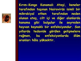 Kırım-Kongo Kanamalı Ateşi, keneler tarafından taşınan Nairovirüs isimli bir mikrobiyal etken tarafından neden olunan ateş, cilt içi ve diğer alanlarda kanama gibi bulgular ile seyreden hayvan kaynaklı bir enfeksiyondur. Son yıllarda tedavide görülen gelişmelere rağmen, bu enfeksiyonlarda ölüm oranları hâla yüksektir. 