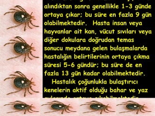 Kırım-Kongo Kanamalı Ateşi, Virüs alındıktan sonra genellikle 1-3 günde ortaya çıkar; bu süre en fazla 9 gün olabilmektedir.  Hasta insan veya hayvanlar ait kan, vücut sıvıları veya diğer dokulara doğrudan temas sonucu meydana gelen bulaşmalarda hastalığın belirtilerinin ortaya çıkma süresi 5-6 gündür; bu süre de en fazla 13 gün kadar olabilmektedir.   Hastalık çoğunlukla bulaştırıcı kenelerin aktif olduğu bahar ve yaz aylarında ortaya çıkabilmektedir. 