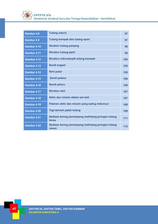 PPPPTK IPA
Direktorat Jenderal Guru dan Tenaga Kependidikan - Kemdikbud
DAFTAR ISI, DAFTAR TABEL, DAFTAR GAMBAR
KELOMPOK KOMPETENSI A
xii
Gambar 4.8 Tulang satura 97
Gambar 4.9 Tulang kompak dan tulang spon 97
Gambar 4.10 Struktur tulang panjang 98
Gambar 4.11 Struktur tulang pipih 99
Gambar 4.12 Struktur mikroskopik tulang kompak 100
Gambar 4.13 Sendi engsel 105
Gambar 4.14 Seni putar 105
Gambar 4.15 Sendi pelana 106
Gambar 4.16 Sendi peluru 106
Gambar 4.17 Struktur otot 107
Gambar 4.18 Aktin dan miosin dalam sel otot 107
Gambar 4.19 Filamen aktin dan miosin yang saling meluncur 108
Gambar 4.20 Tiga bentuk patah tulang 109
Gambar 4.21 Sediaan kering penampang melintang jaringan tulang
keras
111
Gambar 4.22 Sediaan kering penampang melintang jaringan tulang
rawan
112
 