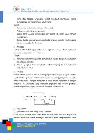 PPPPTK IPA
Direktorat Jenderal Guru dan Tenaga Kependidikan - Kemdikbud
KEGIATAN PEMBELAJARAN 1: EKOSISTEM
KELOMPOK KOMPETENSI A
14
inang atau hospes. Organisme parasit mendapat keuntungan karena
mendapat zat-zat makanan dan tubuh inang.
Contoh:
 Kutu rambut pada kepala manusia (ektoparasit).
 Pinjal pada kulit anjing (ektoparasit).
 Cacing perut (Ascaris lumbricoides) dan cacing pita dalam usus manusia
(endoparasit).
 Benalu dan tali putri yang menempel pada tanaman tertentu, misalnya pada
pohon mangga, jambu dan jeruk.
3) Antibiosis
Antibiosis adalah hubungan antara dua organisme yang satu menghambat
pertumbuhan organisme yang lainnya.
Contoh:
a) Jamur Penicillium menghambat pertumbuhan bakteri dengan mengeluarkan
zat antibiotik penisilin.
b) Jamur Aspergillus flavus menghasilkan aflatoksin yang dapat menghambat
pertumbuhan bakteri.
4) Predasi
Predasi adalah hubungan antara pemangsa (predator) dengan mangsa. Predasi
dapat dilihat dengan jelas pada rantai makanan atau jaring-jaring makanan, yaltu
antara konsumen I dengan konsumen II atau antara konsumen II dengan
konsumen III. Organisme yang memakan organisme lain disebut predator.
Perhatikan peristiwa predasi pada rantai makanan di di bawah ini.
Padi Tikus Ular Elang
(P1) (K1) (K2) (K3)
5) Pola Makan
a) Rantai Makanan dan Jaring-Jaring Makanan
Selain terjadi interaksi antar faktor biotik didalam rantai makanan terjadi pula
interaksi faktor biotik-abiotik. Hubungan antar faktor biotik yang menyusun rantai
Predasi
 