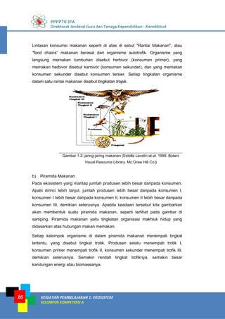 PPPPTK IPA
Direktorat Jenderal Guru dan Tenaga Kependidikan - Kemdikbud
KEGIATAN PEMBELAJARAN 1: EKOSISTEM
KELOMPOK KOMPETENSI A
16
Lintasan konsumsi makanan seperti di atas di sebut "Rantai Makanan", atau
"food chains“ makanan berasal dari organisme autotrofik. Organisme yang
langsung memakan tumbuhan disebut herbivor (konsumen primer), yang
memakan herbivor disebut karnivor (konsumen sekunder), dan yang memakan
konsumen sekunder disebut konsumen tersier. Setiap tingkatan organisme
dalam satu rantai makanan disebut tingkatan tropik.
Gambar 1.2: jaring-jaring makanan (Estella Lavelin at.al. 1998. Botani
Visual Resource Library. Mc.Graw Hill Co.)
b) Piramida Makanan
Pada ekosistem yang mantap jumlah produsen tebih besar daripada konsumen.
Apabi dirinci Iebih tanjut, jumlah produsen Iebih besar daripada konsumen I,
konsumen I Iebih besar daripada konsumen II, konsumen II Iebih besar daripada
konsumen III, demikian seterusnya. Apabila keadaan tersebut kita gambarkan
akan membentuk suatu piramida makanan, seperti terlihat pada gambar di
samping. Piramida makanan yaitu tingkatan organisasi makhluk hidup yang
didasarkan atas hubungan makan memakan.
Setiap kelompok organisme di dalam piramida makanan menempati tingkat
tertentu, yang disebut tingkat trotik. Produsen selatu menempati trotik I,
konsumen primer menempati trofik II, konsumen sekunder menempati trofik III,
demikian seterusnya. Semakin rendah tingkat trofiknya, semakin besar
kandungan energi atau biomassanya.
 
