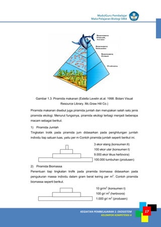 LISTRIK untuk SMP
KEGIATAN PEMBELAJARAN 1: EKOSISTEM
KELOMPOK KOMPETENSI A
ModulGuru Pembelajar
Mata Pelajaran Biologi SMA
17
Gambar 1.3: Piramida makanan (Estella Lavelin at.al. 1998. Botani Visual
Resource Library. Mc.Graw Hill Co.)
Piramida makanan disebut juga piramida jumlah dan merupakan salah satu jenis
piramida ekologi. Menurut fungsinya, piramida ekologi terbagi menjadi beberapa
macam sebagai berikut.
1) Piramida Jumlah
Tingkatan trotik pada piramida jum didasarkan pada penghitungan jurnlah
individu tiap satuan luas, yaitu per m Contoh piramida jumlah seperti berikut ini.
3 ekor elang (konsumen II)
100 ekor ular (konsumen I)
9.000 ekor tikus herbivora)
100.000 tumbuhan (produsen)
2) Piramida Biomassa
Penentuan tiap tingkatan trofik pada piramida biomassa didasarkan pada
pengukuran massa individu dalam gram berat kering per m2
. Contoh piramida
biomassa seperti berikut.
10 gr/m2
(konsumen I)
100 gr/ m2
(herbivora)
1.000 gr/ m2
(produsen)
 