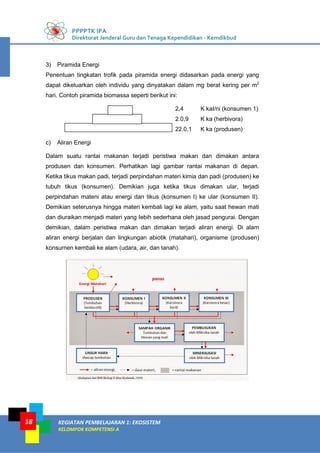 PPPPTK IPA
Direktorat Jenderal Guru dan Tenaga Kependidikan - Kemdikbud
KEGIATAN PEMBELAJARAN 1: EKOSISTEM
KELOMPOK KOMPETENSI A
18
3) Piramida Energi
Penentuan tingkatan trofik pada piramida energi didasarkan pada energi yang
dapat dikeluarkan oleh individu yang dinyatakan dalam mg berat kering per m2
hari. Contoh piramida biomassa seperti berikut ini:
2,4 K kaI/ni (konsumen 1)
2.0,9 K ka (herbivora)
22.0,1 K ka (produsen)
c) Aliran Energi
Dalam suatu rantai rnakanan terjadi peristiwa makan dan dimakan antara
produsen dan konsumen. Perhatikan lagi gambar rantai makanan di depan.
Ketika tikus makan padi, terjadi perpindahan materi kimia dan padi (produsen) ke
tubuh tikus (konsumen). Demikian juga ketika tikus dimakan ular, terjadi
perpindahan mateni atau energi dan tikus (konsumen I) ke ular (konsumen II).
Demikian seterusnya hingga materi kembali lagi ke alam, yaitu saat hewan mati
dan diuraikan menjadi materi yang Iebih sederhana oleh jasad pengurai. Dengan
demikian, dalam peristiwa makan dan dimakan terjadi aliran energi. Di alam
aliran energi berjalan dan lingkungan abiotik (matahari), organisme (produsen)
konsurnen kembali ke alam (udara, air, dan tanah).
 