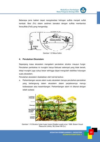 LISTRIK untuk SMP
KEGIATAN PEMBELAJARAN 1: EKOSISTEM
KELOMPOK KOMPETENSI A
ModulGuru Pembelajar
Mata Pelajaran Biologi SMA
23
Beberapa jenis bakteri dapat mengoksidasi hidrogen sulfida menjadi sulfat
kembali. Besi (Fe) dalam sedimen bereaksi dengan sulfida membentuk
ferosulfida (FeS) yang mengendap.
Gambar 1.9 Siklus Sulfur
4. Perubahan Ekosistem
Sepanjang masa ekosistem mengalami perubahan struktur maupun fungsi.
Perubahan pembahas ini mungkin hanya fluktuasi setempat yang tidak berarti,
tetapi mungkin juga cukup besar sehingga dapat mengubah stabilitas hubungan
suatu ekosistem.
Perubahan ekosistem disebabkan oIeh hal-hal berikut.
a. Perkembangan secara alami suatu ekosistem berupa perubahan-perubahan
yang berlangsung dalam ekosistem dalam perjalanannya menuju
kedewasaan atau keseimbangan. Perkembangan alami ini dikenal dengan
istilah suksesi.
Gambar 1.10 Struktur hutan hujan tropis (Estella Lavelin at.al. 1998. Botani Visual
Resource Library. Mc.Graw Hill Co.)
Tanah
 