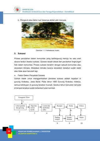 PPPPTK IPA
Direktorat Jenderal Guru dan Tenaga Kependidikan - Kemdikbud
KEGIATAN PEMBELAJARAN 1: EKOSISTEM
KELOMPOK KOMPETENSI A
24
b. Pengaruh atau faktor luar biasanya akibat ulah manusia.
Gambar 1.11 Kebakaran hutan
5. Suksesi
Proses perubahan dalam komunitas yang berlangsung menuju ke satu arah
secara teratur disebut suksesi. Suksesi terjadi akibat dari perubahan lingkungan
fisik dalam komunitas. Proses suksesi berakhir dengan sebuah komunitas atau
ekosistem klimaks. Dikatakan klimaks karena ekosistem tersebut sudah stabil
atau tidak akan berubah lagi.
a. Faktor Dalam Penyebab Suksesi
Contoh klasik untuk menggambarkan peristiwa suksesi adalah kejadian di
gunung Krakatau, Jawa Barat. Pada tahun 1883 Gunung Krakatau meletus,
semua kehidupan di gunung tersebut musnah. Seratus tahun kemudian ternyata
di tempat tersebut sudah terbentuk hutan kembali.
Gangguan Alam
Lahan gundul
dan gersang
Alga dan
lumut
kerak
Lumut dan
tumbuhan
paku
Rumput Perdu Pohon
Padang
rumput
HutanSemak
belukar
1
2
3 4
5 6 7
8 9 10
 