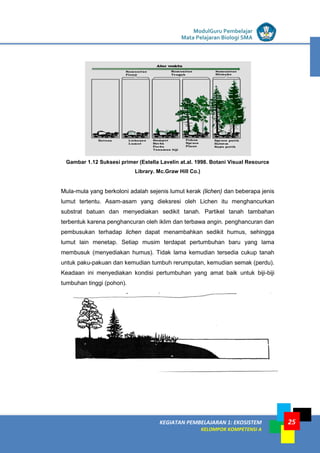LISTRIK untuk SMP
KEGIATAN PEMBELAJARAN 1: EKOSISTEM
KELOMPOK KOMPETENSI A
ModulGuru Pembelajar
Mata Pelajaran Biologi SMA
25
Gambar 1.12 Suksesi primer (Estella Lavelin at.al. 1998. Botani Visual Resource
Library. Mc.Graw Hill Co.)
Mula-mula yang berkoloni adalah sejenis lumut kerak (lichen) dan beberapa jenis
lumut tertentu. Asam-asam yang dieksresi oleh Lichen itu menghancurkan
substrat batuan dan menyediakan sedikit tanah. Partikel tanah tambahan
terbentuk karena penghancuran oleh iklim dan terbawa angin. penghancuran dan
pembusukan terhadap lichen dapat menambahkan sedikit humus, sehingga
lumut lain menetap. Setiap musim terdapat pertumbuhan baru yang lama
membusuk (menyediakan humus). Tidak lama kemudian tersedia cukup tanah
untuk paku-pakuan dan kemudian tumbuh rerumputan, kemudian semak (perdu).
Keadaan ini menyediakan kondisi pertumbuhan yang amat baik untuk biji-biji
tumbuhan tinggi (pohon).
 