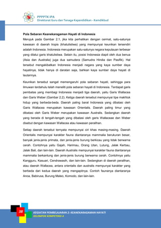 PPPPTK IPA
Direktorat Guru dan Tenaga Kependidikan - Kemdikbud
KEGIATAN PEMBELAJARAN 2: KEANEKARAGAMAN HAYATI
KELOMPOK KOMPETENSI A
38
Pola Sebaran Keanekaragaman Hayati di Indonesia
Merujuk pada Gambar 2.1, jika kita perhatikan dengan cermat, satu-satunya
kawasan di daerah tropis (khatulistiwa) yang mempunyai keunikan tersendiri
adalah Indonesia. Indonesia merupakan satu-satunya negara kepulauan terbesar
yang dilalui garis khatulistiwa. Selain itu, posisi Indonesia diapit oleh dua benua
(Asia dan Australia) juga dua samudera (Samudra Hindia dan Pasifik). Hal
tersebut mengakibatkan Indonesia menjadi negara yang kaya sumber daya
hayatinya, tidak hanya di daratan saja, bahkan kaya sumber daya hayati di
lautannya.
Keunikan tersebut sangat memengaruhi pola sebaran hayati, sehingga para
ilmuwan terdahulu telah meneliti pola sebaran hayati di Indonesia. Terdapat garis
pembatas yang membagi Indonesia menjadi tiga daerah, yaitu Garis Wallacea
dan Garis Weber (Gambar 2.2). Ketiga daerah tersebut mempunyai tipe makhluk
hidup yang berbeda-beda. Daerah paling barat Indonesia yang dibatasi oleh
Garis Wallacea merupakan kawasan Orientalis. Daerah paling timur yang
dibatasi oleh Garis Weber merupakan kawasan Australis. Sedangkan daerah
yang berada di tengah-tengah yang dibatasi oleh garis Wallaceae dan Weber
disebut dengan kawasan Wallacea atau kawasan peralihan.
Setiap daerah tersebut ternyata mempunyai ciri khas masing-masing. Daerah
Orientalis mempunyai karakter fauna diantaranya mammalia berukuran besar,
banyak jenis-jenis primata, dan jenis-jenis burung berkicau yang tidak berwarna
cerah. Contohnya yaitu Gajah, Harimau, Orang Utan, Lutung, Jalak Kerbau,
Jalak Bali, dan lain-lain. Daerah Australis mempunyai karakter fauna diantaranya
mammalia berkantung dan jenis-jenis burung berwarna cerah. Contohnya yaitu
Kangguru, Kasuari, Cendrawasih, dan lain-lain. Sedangkan di daerah peralihan,
atau daerah Wallacea, antara orientalis dan australis mempunyai karakter yang
berbeda dari kedua daerah yang mengapitnya. Contoh faunanya diantaranya
Anoa, Babirusa, Burung Maleo, Komodo, dan lain-lain.
 