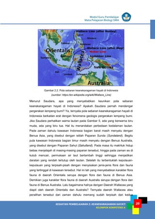 Modul Guru Pembelajar
Mata Pelajaran Biologi SMA
39KEGIATAN PEMBELAJARAN 2: KEANEKARAGAMAN HAYATI
KELOMPOK KOMPETENSI A
39
Gambar 2.2. Pola sebaran keanekaragaman hayati di Indonesia
(sumber: https://en.wikipedia.org/wiki/Wallace_Line)
Menurut Saudara, apa yang menyebabkan keunikan pola sebaran
keanekaragaman hayati di Indonesia? Apakah Saudara pernah mendengar
pergerakan lempeng bumi? Ya, ternyata pola sebaran keanekaragaman hayati di
Indonesia berkaitan erat dengan fenomena geologis pergerakan lempeng bumi.
Jika Saudara perhatikan warna lautan pada Gambar 5, ada yang berwarna biru
muda, ada yang biru tua. Hal itu menandakan perbedaan kedalaman lautan.
Pada zaman dahulu kawasan Indonesia bagian barat masih menyatu dengan
Benua Asia, yang disebut dengan istilah Paparan Sunda (Sundaland). Begitu
pula kawasan Indonesia bagian timur masih menyatu dengan Benua Australia,
yang disebut dengan Paparan Sahul (Sahulland). Pada masa itu makhluk hidup
bebas menjelajah di masing-masing paparan tersebut, hingga pada zaman es di
kutub mencair, permukaan air laut bertambah tinggi sehingga menjadikan
daratan yang rendah tertutup oleh lautan. Setelah itu terbentuklah kepulauan-
kepulauan yang terpisah-pisah dengan menyisakan jenis-jenis flora dan fauna
yang tertinggal di kawasan tersebut. Hal ini lah yang menyebabkan karakter flora
fauna di daerah Orientalis serupa dengan flora dan fauna di Benua Asia.
Demikian juga karakter flora fauna di daerah Australis serupa dengan flora dan
fauna di Benua Australia. Lalu bagaimana halnya dengan Daerah Wallacea yang
diapit oleh daerah Orientalis dan Australis? Ternyata daerah Wallacea atau
peralihan tersebut dari zaman dahulu memang sudah terpisah dari kedua
 