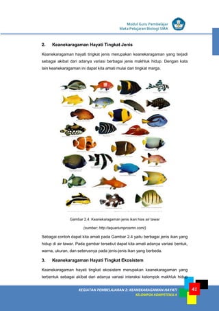 Modul Guru Pembelajar
Mata Pelajaran Biologi SMA
41KEGIATAN PEMBELAJARAN 2: KEANEKARAGAMAN HAYATI
KELOMPOK KOMPETENSI A
41
2. Keanekaragaman Hayati Tingkat Jenis
Keanekaragaman hayati tingkat jenis merupakan keanekaragaman yang terjadi
sebagai akibat dari adanya variasi berbagai jenis makhluk hidup. Dengan kata
lain keanekaragaman ini dapat kita amati mulai dari tingkat marga.
Gambar 2.4. Keanekaragaman jenis ikan hias air tawar
(sumber: http://aquariumprosmn.com/)
Sebagai contoh dapat kita amati pada Gambar 2.4 yaitu berbagai jenis ikan yang
hidup di air tawar. Pada gambar tersebut dapat kita amati adanya variasi bentuk,
warna, ukuran, dan seterusnya pada jenis-jenis ikan yang berbeda.
3. Keanekaragaman Hayati Tingkat Ekosistem
Keanekaragaman hayati tingkat ekosistem merupakan keanekaragaman yang
terbentuk sebagai akibat dari adanya variasi interaksi kelompok makhluk hidup
 
