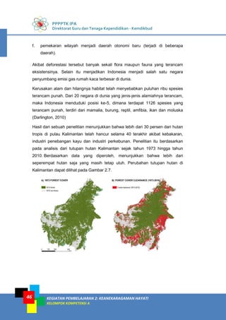 PPPPTK IPA
Direktorat Guru dan Tenaga Kependidikan - Kemdikbud
KEGIATAN PEMBELAJARAN 2: KEANEKARAGAMAN HAYATI
KELOMPOK KOMPETENSI A
46
f. pemekaran wilayah menjadi daerah otonomi baru (terjadi di beberapa
daerah).
Akibat deforestasi tersebut banyak sekali flora maupun fauna yang terancam
eksistensinya. Selain itu menjadikan Indonesia menjadi salah satu negara
penyumbang emisi gas rumah kaca terbesar di dunia.
Kerusakan alam dan hilangnya habitat telah menyebabkan puluhan ribu spesies
terancam punah. Dari 20 negara di dunia yang jenis-jenis alamiahnya terancam,
maka Indonesia menduduki posisi ke-5, dimana terdapat 1126 spesies yang
terancam punah, terdiri dari mamalia, burung, reptil, amfibia, ikan dan moluska
(Darlington, 2010)
Hasil dari sebuah penelitian menunjukkan bahwa lebih dari 30 persen dari hutan
tropis di pulau Kalimantan telah hancur selama 40 terakhir akibat kebakaran,
industri penebangan kayu dan industri perkebunan. Penelitian itu berdasarkan
pada analisis dari tutupan hutan Kalimantan sejak tahun 1973 hingga tahun
2010. Berdasarkan data yang diperoleh, menunjukkan bahwa lebih dari
seperempat hutan saja yang masih tetap utuh. Perubahan tutupan hutan di
Kalimantan dapat dilihat pada Gambar 2.7.
 