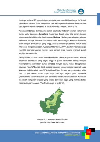 KEGIATAN PEMBELAJARAN 2: KEANEKARAGAMAN HAYATI
KELOMPOK MODUL A
53
Modul Guru Pembelajar
Mata Pelajaran Biologi SMA
Hasilnya terdapat 25 hotspot diseluruh dunia yang memiliki luas hanya 1,4% dari
permukaan daratan Bumi yang dihuni oleh 44% spesies tumbuhan vaskular dan
35% spesies hewan vertebrata di seluruh dunia (Gambar 2.9 dan 2.10).
Kawasan Indonesia termasuk ke dalam salahsatu “hotspot” prioritas konservasi
dunia, yaitu kawasan Sundaland (Nusantara Barat) atau kita kenal dengan
Kawasan Asiatis/Orientalis dan kawasan Wallace. Sedangkan sebagian wilayah
Indonesia lainnya termasuk ke dalam salah satu katagori kawasan kawasan
alami dengan biodiversitas yang tinggi, yaitu Sahulland (Nusantara Timur) atau
kita kenal dengan Kawasan Australis (Mittermeier, 2000). Lautan Indonesia juga
memiliki keanekaragaman hayati yang sangat tinggi karena menjadi pusat
segitiga karang dunia.
Sebagai contoh kasus dalam upaya konservasi keanekaragaman hayati, adanya
ancaman deforestasi yang begitu tinggi di pulau Kalimantan seiring dengan
meningkatnya permintaan dunia terhadap minyak sawit, maka ditetapkanlah
kawasan Heart of Borneo (HoB) sebagai kawasan konservasi internasional. Luas
kawasan HoB tersebut yaitu 30% dari luas Pulau Borneo, yang mencakup lebih
dari 22 juta hektar hutan hujan tropis dari tiga negara, yaitu Indonesia
(Kalimantan), Malaysia (Sabah dan Sarawak), dan Brunei Darussalam. Kawasan
ini adalah hamparan terbesar yang tersisa dari hutan tropis yang melintas batas
negara di Asia Tenggara (Van Paddenburg et al. 2012).
Gambar 2.11. Kawasan Heart of Borneo
(sumber: http://www.wwf.org.au)
 