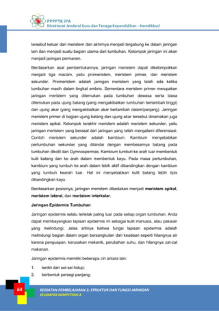 PPPPTK IPA
Direktorat Jenderal Guru dan Tenaga Kependidikan - Kemdikbud
KEGIATAN PEMBELAJARAN 3: STRUKTUR DAN FUNGSI JARINGAN
KELOMPOK KOMPETENSI A
64
tersebut keluar dari meristem dan akhirnya menjadi tergabung ke dalam jaringan
lain dan menjadi suatu bagian utama dari tumbuhan. Kelompok jaringan ini akan
menjadi jaringan permanen.
Berdasarkan asal pembentukannya, jaringan meristem dapat dikelompokkan
menjadi tiga macam, yaitu promeristem, meristem primer, dan meristem
sekunder. Promeristem adalah jaringan meristem yang telah ada ketika
tumbuhan masih dalam tingkat embrio. Sementara meristem primer merupakan
jaringan meristem yang ditemukan pada tumbuhan dewasa serta biasa
ditemukan pada ujung batang (yang mengakibatkan tumbuhan bertambah tinggi)
dan ujung akar (yang mengakibatkan akar bertambah dalam/panjang). Jaringan
meristem primer di bagian ujung batang dan ujung akar tersebut dinamakan juga
meristem apikal. Kelompok terakhir meristem adalah meristem sekunder, yaitu
jaringan meristem yang berasal dari jaringan yang telah mengalami diferensiasi.
Contoh meristem sekunder adalah kambium. Kambium menyebabkan
pertumbuhan sekunder yang ditandai dengan membesarnya batang pada
tumbuhan dikotil dan Gymnospermae. Kambium tumbuh ke arah luar membentuk
kulit batang dan ke arah dalam membentuk kayu. Pada masa pertumbuhan,
kambium yang tumbuh ke arah dalam lebih aktif dibandingkan dengan kambium
yang tumbuh kearah luar. Hal ini menyebabkan kulit batang lebih tipis
dibandingkan kayu.
Berdasarkan posisinya, jaringan meristem dibedakan menjadi meristem apikal,
meristem lateral, dan meristem interkalar.
Jaringan Epidermis Tumbuhan
Jaringan epidermis selalu terletak paling luar pada setiap organ tumbuhan. Anda
dapat membayangkan lapisan epidermis ini sebagai kulit manusia, atau pakaian
yang melindungi. Jelas artinya bahwa fungsi lapisan epidermis adalah
melindungi bagian dalam organ bersangkutan dari keadaan seperti hilangnya air
karena penguapan, kerusakan mekanik, perubahan suhu, dan hilangnya zat-zat
makanan.
Jaringan epidermis memiliki beberapa ciri antara lain:
1. terdiri dari sel-sel hidup;
2. berbentuk persegi panjang;
 