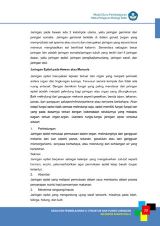 LISTRIK untuk SMP
KEGIATAN PEMBELAJARAN 3: STRUKTUR DAN FUNGSI JARINGAN
KELOMPOK KOMPETENSI A
Modul Guru Pembelajaran
Mata Pelajaran Biologi SMA
73
Jaringan pada hewan ada 2 kelompok utama, yaitu jaringan germinal dan
jaringan somatis. Jaringan germinal terletak di dalam gonad (organ yang
memproduksi sel sperma atau ovum) dan merupakan jaringan yang secara terus
menerus menghasilkan sel benih/sel kelamin. Sementara sebagian besar
jaringan lain adalah jaringan somatis/jaringan tubuh yang terdiri dari 4 jaringan
dasar, yaitu jaringan epitel, jaringan pengikat/penunjang, jaringan saraf, dan
jaringan otot.
Jaringan Epitel pada Hewan atau Manusia
Jaringan epitel merupakan lapisan terluar dari organ yang menjadi pemisah
antara organ dan lingkungan luarnya. Tersusun secara kompak dan tidak ada
ruang antarsel. Dengan demikian fungsi yang paling mendasar dari jaringan
epitel adalah menjadi pelindung bagi jaringan atau organ yang dibungkusnya.
Baik melindungi dari gangguan mekanis seperti gesekkan, benda tajam, tekanan,
panas, dan gangguan patogen/mikroorganisme atau senyawa berbahaya. Akan
tetapi fungsi epitel tidak semata melindungi saja, epitel memiliki fungsi-fungsi lain
yang pada dasarnya terkait dengan keberadaan strukturnya yang melapisi
bagian terluar organ-organ. Diantara fungsi-fungsi jaringan epitel tersebut
adalah:
1. Perlindungan
Jaringan epitel menutupi permukaan dalam organ, melindunginya dari gangguan
mekanis dari luar seperti panas, tekanan, gesekkan atau dari gangguan
mikroorganisme, senyawa berbahaya, atau melindungi dari kehilangan air yang
berlebihan
Sekresi
Jaringan epitel berperan sebagai kelenjar yang mengeluarkan zat-zat seperti
hormon, enzim, pelumas/lubrikasi agar permukaan epitel tetap basah (organ
tertentu).
2. Absorbsi
Jaringan epitel yang melapisi permukaan dalam usus membantu dalam proses
penyerapan nutrisi hasil pencernaan makanan.
3. Menerima rangsang/impuls
Jaringan epitel yang mengandung ujung saraf sensorik, misalnya pada lidah,
telinga, hidung, dan kulit.
 