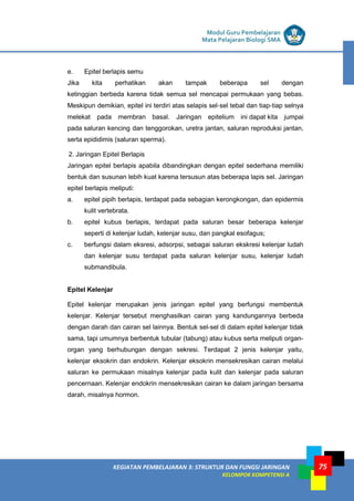LISTRIK untuk SMP
KEGIATAN PEMBELAJARAN 3: STRUKTUR DAN FUNGSI JARINGAN
KELOMPOK KOMPETENSI A
Modul Guru Pembelajaran
Mata Pelajaran Biologi SMA
75
e. Epitel berlapis semu
Jika kita perhatikan akan tampak beberapa sel dengan
ketinggian berbeda karena tidak semua sel mencapai permukaan yang bebas.
Meskipun demikian, epitel ini terdiri atas selapis sel‐sel tebal dan tiap‐tiap selnya
melekat pada membran basal. Jaringan epitelium ini dapat kita jumpai
pada saluran kencing dan tenggorokan, uretra jantan, saluran reproduksi jantan,
serta epididimis (saluran sperma).
2. Jaringan Epitel Berlapis
Jaringan epitel berlapis apabila dibandingkan dengan epitel sederhana memiliki
bentuk dan susunan lebih kuat karena tersusun atas beberapa lapis sel. Jaringan
epitel berlapis meliputi:
a. epitel pipih berlapis, terdapat pada sebagian kerongkongan, dan epidermis
kulit vertebrata.
b. epitel kubus berlapis, terdapat pada saluran besar beberapa kelenjar
seperti di kelenjar ludah, kelenjar susu, dan pangkal esofagus;
c. berfungsi dalam eksresi, adsorpsi, sebagai saluran ekskresi kelenjar ludah
dan kelenjar susu terdapat pada saluran kelenjar susu, kelenjar ludah
submandibula.
Epitel Kelenjar
Epitel kelenjar merupakan jenis jaringan epitel yang berfungsi membentuk
kelenjar. Kelenjar tersebut menghasilkan cairan yang kandungannya berbeda
dengan darah dan cairan sel lainnya. Bentuk sel-sel di dalam epitel kelenjar tidak
sama, tapi umumnya berbentuk tubular (tabung) atau kubus serta meliputi organ-
organ yang berhubungan dengan sekresi. Terdapat 2 jenis kelenjar yaitu,
kelenjar eksokrin dan endokrin. Kelenjar eksokrin mensekresikan cairan melalui
saluran ke permukaan misalnya kelenjar pada kulit dan kelenjar pada saluran
pencernaan. Kelenjar endokrin mensekresikan cairan ke dalam jaringan bersama
darah, misalnya hormon.
 