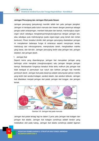 PPPPTK IPA
Direktorat Jenderal Guru dan Tenaga Kependidikan - Kemdikbud
KEGIATAN PEMBELAJARAN 3: STRUKTUR DAN FUNGSI JARINGAN
KELOMPOK KOMPETENSI A
76
Jaringan Penunjang dan Jaringan Otot pada Hewan
Jaringan penunjang (penyokong) memiliki istilah lain yaitu jaringan pengikat.
Jaringan ini terdapat pada tubuh manusia dan hewan dengan perannya sebagai
pengisi celah antarjaringan, memberi kekuatan dan bentuk, membungkus organ-
organ tubuh sekaligus mengikatnya/menghubungkannya dengan jaringan lain,
atau sekaligus pula melindunginya (pada organ-organ yang lemah dan rentan
benturan). Peran tersebut dimiliki oleh jaringan penunjang disebabkan jaringan
ini menjalankan beberapa fungsi di antaranya seperti menyimpan lemak,
melindungi dari mikroorganisme, memproduksi darah, menghasilkan matriks
yang keras, dan lain-lain. Jaringan penunjang terdiri atas jaringan ikat, jaringan
skeleton, dan jaringan darah.
1. Jaringan Ikat
Seperti nama yang disandangnya, jaringan ikat merupakan jaringan yang
berfungsi untuk mengikat (menghubungkan) satu jaringan dengan jaringan
lainnya. Berdasarkan fungsinya tersebut Anda tentu mafhum jika jaringan ikat
tidak terdapat di permukaan luar tubuh dan bahkan jaringan ikat memiliki
pembuluh darah. Jaringan ikat pada dasarnya adalah sekumpulan jalinan matriks
yang terdiri dari serabut kolagen, serabut elastin, dan serabut retikuler. Jaringan
ikat dibedakan menjadi jaringan ikat padat, jaringan ikat longgar, dan jaringan
lemak.
Gambar 3.9. Jaringan ikat pada manusia
Jaringan ikat padat terbagi lagi ke dalam 2 jenis yaitu jaringan ikat kolagen dan
jaringan ikat elastis. Jaringan ikat kolagen contohnya adalah tendon yang
melekatkan otot pada tulang. Jaringan ikat elastis contohnya adalah ligamen
 