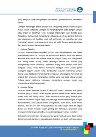 LISTRIK untuk SMP
KEGIATAN PEMBELAJARAN 3: STRUKTUR DAN FUNGSI JARINGAN
KELOMPOK KOMPETENSI A
Modul Guru Pembelajaran
Mata Pelajaran Biologi SMA
77
yang mengikat tulang-tulang dengan persendian. Ligamen tersusun dari serabut
elastis.
Jaringan ikat longgar adalah jaringan ikat yang paling banyak ditemukan pada
tubuh hewan vertebrata. Jaringan ini menghubungkan epitel dengan jaringan
atau organ di bawahnya serta menjaga organ-organ agar berada pada
tempatnya. Jaringan ikat mengandung berbagai jenis sel dan serabut. Sel yang
ada diantaranya sel fibroblas, mast cell, sel lemak, sel makrofag (sel yang
‘memakan’ patogen, mikroorganisme asing sel mati). Serabut yang ada antara
lain serabut kolagen dan serabut elastis.
2. Jaringan Skeleton
Jaringan skeleton/tulang merupakan jaringan yang paling keras dan kuat. Selain
mengandung sedikit air, jaringan ini tersusun dari kalsium fosfat dan kalsium
karbonat. Pada vertebrata terdapat 2 macam jaringan tulang, yaitu tulang rawan
dan tulang keras. Tulang rawan (kartilago) terbuat dari matriks yang
mengandung sel-sel kondroblas. Sementara tulang keras sifatnya lebih keras
daripada tulang rawan karena matriksnya sebagian besar adalah garam
anorganik seperti kalsium fosfat. Berdasarkan susunan matriksnya jaringan
tulang keras dibedakan menjadi tulang kompak dan tulang spons. Kombinasi zat
organik dan anorganik menghasilkan struktur yang kuat pada tulang kompak.
Tulang spons matriksnya berongga, mengandung sumsum merah yang
memproduksi sel-sel darah merah.
3. Jaringan Darah
Jaringan darah letaknya berada di pembuluh darah, tersusun atas cairan
(plasma) yang di dalam cairan tersebut terdapat sel-sel darah merah, sel-sel
darah putih, dan keping darah. Darah merupakan cairan yang terdapat pada
manusia dan hewan tingkat tinggi yang berfungsi dalam membawa gas oksigen,
karbondioksida, serta zat-zat terlarut lain (glukosa, asam lemak, asam amino,
hormon, dan lain-lain) dan mengangkutnya dari satu bagian tubuh ke bagian
tubuh lain. Darah menjadi bagian penting dari kehidupan, organisme yang
mengalami kekurangan darah bisa mengalami gangguan bahkan kematian.
Sel darah merah (eritrosit) merupakan unsur yang membuat cairan darah terlihat
berwarna merah, jumlahnya paling banyak dibanding sel darah putih atau keping
 