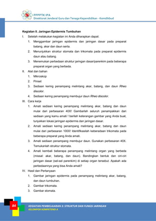 PPPPTK IPA
Direktorat Jenderal Guru dan Tenaga Kependidikan - Kemdikbud
KEGIATAN PEMBELAJARAN 3: STRUKTUR DAN FUNGSI JARINGAN
KELOMPOK KOMPETENSI A
84
Kegiatan II. Jaringan Epidermis Tumbuhan
I. Setelah melakukan kegiatan ini Anda diharapkan dapat:
1. Menggambar jaringan epidermis dan jaringan dasar pada preparat
batang, akar dan daun serta.
2. Menunjukkan struktur stomata dan trikomata pada preparat epidermis
daun atau batang.
3. Menemukan perbedaan struktur jaringan dasar/parenkim pada beberapa
preparat organ yang berbeda.
II. Alat dan bahan
1. Mikroskop
2. Pinset
3. Sediaan kering penampang melintang akar, batang, dan daun Rheo
discolor.
4. Sediaan kering penampang membujur daun Rheo discolor.
III. Cara kerja
1. Amati sediaan kering penampang melintang akar, batang dan daun
mulai dari perbesaran 40X! Gambarlah seluruh penampakkan dari
sediaan yang kamu amati ! berilah keterangan gambar yang Anda buat,
tunjukkan lokasi jaringan epidermis dan jaringan dasar.
2. Amati sediaan kering penampang melintang akar, batang dan daun
mulai dari perbesaran 100X! Identifikasilah keberadaan trikomata pada
beberapa preparat yang Anda amati.
3. Amati sediaan penampang membujur daun. Gunakan perbesaran 40X.
Temukanlah struktur stomata.
4. Amati kembali beberapa penampang melintang organ yang berbeda
(missal: akar, batang, dan daun). Bandingkan bentuk dan ciri-ciri
jaringan dasar (sel-sel parenkim) di setiap organ tersebut. Apakah ada
perbedaannya yang bisa Anda amati?
IV. Hasil dan Pertanyaan
1. Gambar jaringan epidermis pada penampang melintang akar, batang,
dan daun tumbuhan.
2. Gambar trikomata.
3. Gambar stomata.
 