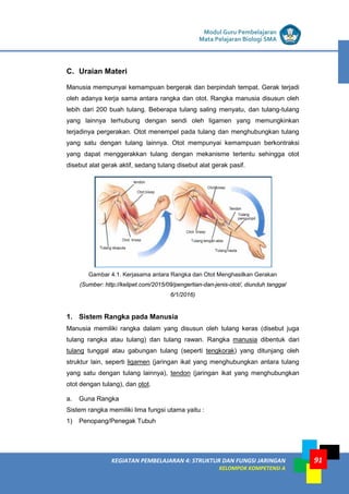 LISTRIK untuk SMP
KEGIATAN PEMBELAJARAN 4: STRUKTUR DAN FUNGSI JARINGAN
KELOMPOK KOMPETENSI A
Modul Guru Pembelajaran
Mata Pelajaran Biologi SMA
91
C. Uraian Materi
Manusia mempunyai kemampuan bergerak dan berpindah tempat. Gerak terjadi
oleh adanya kerja sama antara rangka dan otot. Rangka manusia disusun oleh
lebih dari 200 buah tulang. Beberapa tulang saling menyatu, dan tulang-tulang
yang lainnya terhubung dengan sendi oleh ligamen yang memungkinkan
terjadinya pergerakan. Otot menempel pada tulang dan menghubungkan tulang
yang satu dengan tulang lainnya. Otot mempunyai kemampuan berkontraksi
yang dapat menggerakkan tulang dengan mekanisme tertentu sehingga otot
disebut alat gerak aktif, sedang tulang disebut alat gerak pasif.
Gambar 4.1. Kerjasama antara Rangka dan Otot Menghasilkan Gerakan
(Sumber: http://kelipet.com/2015/09/pengertian-dan-jenis-otot/, diunduh tanggal
6/1/2016)
1. Sistem Rangka pada Manusia
Manusia memiliki rangka dalam yang disusun oleh tulang keras (disebut juga
tulang rangka atau tulang) dan tulang rawan. Rangka manusia dibentuk dari
tulang tunggal atau gabungan tulang (seperti tengkorak) yang ditunjang oleh
struktur lain, seperti ligamen (jaringan ikat yang menghubungkan antara tulang
yang satu dengan tulang lainnya), tendon (jaringan ikat yang menghubungkan
otot dengan tulang), dan otot.
a. Guna Rangka
Sistem rangka memiliki lima fungsi utama yaitu :
1) Penopang/Penegak Tubuh
 