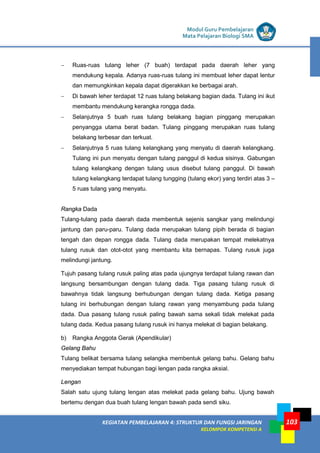 LISTRIK untuk SMP
KEGIATAN PEMBELAJARAN 4: STRUKTUR DAN FUNGSI JARINGAN
KELOMPOK KOMPETENSI A
Modul Guru Pembelajaran
Mata Pelajaran Biologi SMA
103
− Ruas-ruas tulang leher (7 buah) terdapat pada daerah leher yang
mendukung kepala. Adanya ruas-ruas tulang ini membuat leher dapat lentur
dan memungkinkan kepala dapat digerakkan ke berbagai arah.
− Di bawah leher terdapat 12 ruas tulang belakang bagian dada. Tulang ini ikut
membantu mendukung kerangka rongga dada.
− Selanjutnya 5 buah ruas tulang belakang bagian pinggang merupakan
penyangga utama berat badan. Tulang pinggang merupakan ruas tulang
belakang terbesar dan terkuat.
− Selanjutnya 5 ruas tulang kelangkang yang menyatu di daerah kelangkang.
Tulang ini pun menyatu dengan tulang panggul di kedua sisinya. Gabungan
tulang kelangkang dengan tulang usus disebut tulang panggul. Di bawah
tulang kelangkang terdapat tulang tungging (tulang ekor) yang terdiri atas 3 –
5 ruas tulang yang menyatu.
Rangka Dada
Tulang-tulang pada daerah dada membentuk sejenis sangkar yang melindungi
jantung dan paru-paru. Tulang dada merupakan tulang pipih berada di bagian
tengah dan depan rongga dada. Tulang dada merupakan tempat melekatnya
tulang rusuk dan otot-otot yang membantu kita bernapas. Tulang rusuk juga
melindungi jantung.
Tujuh pasang tulang rusuk paling atas pada ujungnya terdapat tulang rawan dan
langsung bersambungan dengan tulang dada. Tiga pasang tulang rusuk di
bawahnya tidak langsung berhubungan dengan tulang dada. Ketiga pasang
tulang ini berhubungan dengan tulang rawan yang menyambung pada tulang
dada. Dua pasang tulang rusuk paling bawah sama sekali tidak melekat pada
tulang dada. Kedua pasang tulang rusuk ini hanya melekat di bagian belakang.
b) Rangka Anggota Gerak (Apendikular)
Gelang Bahu
Tulang belikat bersama tulang selangka membentuk gelang bahu. Gelang bahu
menyediakan tempat hubungan bagi lengan pada rangka aksial.
Lengan
Salah satu ujung tulang lengan atas melekat pada gelang bahu. Ujung bawah
bertemu dengan dua buah tulang lengan bawah pada sendi siku.
 