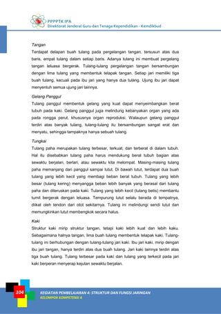 PPPPTK IPA
Direktorat Jenderal Guru dan Tenaga Kependidikan - Kemdikbud
KEGIATAN PEMBELAJARAN 4: STRUKTUR DAN FUNGSI JARINGAN
KELOMPOK KOMPETENSI A
104
Tangan
Terdapat delapan buah tulang pada pergelangan tangan, tersusun atas dua
baris, empat tulang dalam setiap baris. Adanya tulang ini membuat pergelang
tangan leluasa bergerak. Tulang-tulang pergelangan tangan bersambungan
dengan lima tulang yang membentuk telapak tangan. Setiap jari memiliki tiga
buah tulang, kecuali pada ibu jari yang hanya dua tulang. Ujung ibu jari dapat
menyentuh semua ujung jari lainnya.
Gelang Panggul
Tulang panggul membentuk gelang yang kuat dapat menyeimbangkan berat
tubuh pada kaki. Gelang panggul juga melindung kebanyakan organ yang ada
pada rongga perut, khususnya organ reproduksi. Walaupun gelang panggul
terdiri atas banyak tulang, tulang-tulang itu bersambungan sangat erat dan
menyatu, sehingga tampaknya hanya sebuah tulang.
Tungkai
Tulang paha merupakan tulang terbesar, terkuat, dan terberat di dalam tubuh.
Hal itu disebabkan tulang paha harus mendukung berat tubuh bagian atas
sewaktu berjalan, berlari, atau sewaktu kita melompat. Masing-masing tulang
paha memanjang dari panggul sampai lutut. Di bawah lutut, terdapat dua buah
tulang yang lebih kecil yang membagi beban berat tubuh. Tulang yang lebih
besar (tulang kering) menyangga beban lebih banyak yang berasal dari tulang
paha dan diteruskan pada kaki. Tulang yang lebih kecil (tulang betis) membantu
tumit bergerak dengan leluasa. Tempurung lutut selalu berada di tempatnya,
diikat oleh tendon dari otot sekitarnya. Tulang ini melindungi sendi lutut dan
memungkinkan lutut membengkok secara halus.
Kaki
Struktur kaki mirip struktur tangan, tetapi kaki lebih kuat dan lebih kaku.
Sebagaimana halnya tangan, lima buah tulang membentuk telapak kaki. Tulang-
tulang ini berhubungan dengan tulang-tulang jari kaki. Ibu jari kaki, mirip dengan
ibu jari tangan, hanya terdiri atas dua buah tulang. Jari kaki lainnya terdiri atas
tiga buah tulang. Tulang terbesar pada kaki dan tulang yang terkecil pada jari
kaki berperan menyerap kejutan sewaktu berjalan.
 