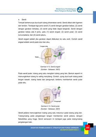 LISTRIK untuk SMP
KEGIATAN PEMBELAJARAN 4: STRUKTUR DAN FUNGSI JARINGAN
KELOMPOK KOMPETENSI A
Modul Guru Pembelajaran
Mata Pelajaran Biologi SMA
105
e. Sendi
Tempat bertemunya dua buah tulang dinamakan sendi. Sendi diikat oleh ligamen
dan tendon. Terdapat tiga jenis sendi (1) sendi dengan gerakan bebas, (2) sendi
dengan gerakan terbatas, (3) sendi yang tidak dapat bergerak. Sendi dengan
gerakan bebas ada 4 jenis, yaitu (1) sendi engsel; (2) sendi putar; (3) sendi
luncur/pelana; dan (4) sendi peluru.
Sendi engsel adalah jika gerakan dapat dilakukan ke satu arah. Contoh sendi
engsel adalah sendi pada lutut dan siku.
Gambar 4.13. Sendi engsel
(Sumber : Setiawan, 2007)
Pada sendi putar, tulang yang satu mengitari tulang yang lain. Bentuk seperti ini
memungkinkan tulang itu saling menyilang. Contoh, ujung dua buah tulang pada
lengan bawah, tulang hasta dan pengumpil, bertemu membentuk sendi putar
pada siku.
Gambar 4.14. Sendi putar
(Sumber : Setiawan, 2007)
Sendi pelana memungkinkan tulang yang satu meluncur pada tulang yang lain.
Tulang-tulang pada pergelangan tangan membentuk sendi pelana, dengan
fleksibilitas yang tinggi. Sendi semacam ini terdapat juga pada tulang-tulang
pergelangan kaki.
 