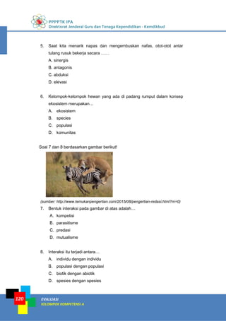 PPPPTK IPA
Direktorat Jenderal Guru dan Tenaga Kependidikan - Kemdikbud
EVALUASI
KELOMPOK KOMPETENSI A
120
5. Saat kita menarik napas dan mengembuskan nafas, otot-otot antar
tulang rusuk bekerja secara ……
A. sinergis
B. antagonis
C. abduksi
D. elevasi
6. Kelompok-kelompok hewan yang ada di padang rumput dalam konsep
ekosistem merupakan…
A. ekosistem
B. species
C. populasi
D. komunitas
Soal 7 dan 8 berdasarkan gambar berikut!
(sumber: http://www.temukanpengertian.com/2015/08/pengertian-redasi.html?m=0)
7. Bentuk interaksi pada gambar di atas adalah…
A. kompetisi
B. parasitisme
C. predasi
D. mutualisme
8. Interaksi itu terjadi antara…
A. individu dengan individu
B. populasi dengan populasi
C. biotik dengan abiotik
D. spesies dengan spesies
 