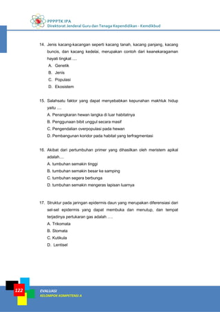 PPPPTK IPA
Direktorat Jenderal Guru dan Tenaga Kependidikan - Kemdikbud
EVALUASI
KELOMPOK KOMPETENSI A
122
14. Jenis kacang-kacangan seperti kacang tanah, kacang panjang, kacang
buncis, dan kacang kedelai, merupakan contoh dari keanekaragaman
hayati tingkat ....
A. Genetik
B. Jenis
C. Populasi
D. Ekosistem
15. Salahsatu faktor yang dapat menyebabkan kepunahan makhluk hidup
yaitu ....
A. Penangkaran hewan langka di luar habitatnya
B. Penggunaan bibit unggul secara masif
C. Pengendalian overpopulasi pada hewan
D. Pembangunan koridor pada habitat yang terfragmentasi
16. Akibat dari pertumbuhan primer yang dihasilkan oleh meristem apikal
adalah....
A. tumbuhan semakin tinggi
B. tumbuhan semakin besar ke samping
C. tumbuhan segera berbunga
D. tumbuhan semakin mengeras lapisan luarnya
17. Struktur pada jaringan epidermis daun yang merupakan diferensiasi dari
sel-sel epidermis yang dapat membuka dan menutup, dan tempat
terjadinya pertukaran gas adalah ….
A. Trikomata
B. Stomata
C. Kutikula
D. Lentisel
 