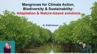 thumbnail of  Mangroves for Climate Action, Biodiversity & Sustainability: Adaptation & Nature-based solutions