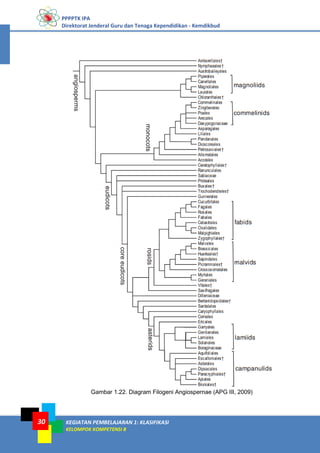 PPPPTK IPA
Direktorat Jenderal Guru dan Tenaga Kependidikan - Kemdikbud
KEGIATAN PEMBELAJARAN 1: KLASIFIKASI
KELOMPOK KOMPETENSI B
30
Gambar 1.22. Diagram Filogeni Angiospernae (APG III, 2009)
 