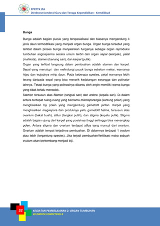 PPPPTK IPA
Direktorat Jenderal Guru dan Tenaga Kependidikan - Kemdikbud
KEGIATAN PEMBELAJARAN 2: ORGAN TUMBUHAN
KELOMPOK KOMPETENSI B
52
Bunga
Bunga adalah bagian pucuk yang terspesialisasi dan biasanya mengandung 4
jenis daun termodifikasi yang menjadi organ bunga. Organ bunga tersebut yang
terlibat dalam proses bunga menjalankan fungsinya sebagai organ reproduksi
tumbuhan angiosperma secara umum terdiri dari organ sepal (kelopak), petal
(mahkota), stamen (benang sari), dan karpel (putik).
Organ yang terlibat langsung dalam pembuahan adalah stamen dan karpel.
Sepal yang menutupi dan melindungi pucuk bunga sebelum mekar, warnanya
hijau dan wujudnya mirip daun. Pada beberapa spesies, petal warnanya lebih
terang daripada sepal yang bisa menarik kedatangan serangga dan polinator
lainnya. Tetapi bunga yang polinasinya dibantu oleh angin memiliki warna bunga
yang tidak terlalu mencolok.
Stamen tersusun atas filamen (tangkai sari) dan antera (kepala sari). Di dalam
antera terdapat ruang-ruang yang bernama mikrosporangia (kantung polen) yang
menghasilkan biji polen yang mengandung gametofit jantan. Karpel yang
menghasilkan megaspora dan produknya yaitu gametofit betina, tersusun atas
ovarium (bakal buah), stilus (tangkai putih), dan stigma (kepala putik). Stigma
adalah bagian ujung dari karpel yang posisinya tinggi sehingga bisa menangkap
polen. Antara stigma dan ovarium terdapat stilus yang muncul dari ovarium.
Ovarium adalah tempat terjadinya pembuahan. Di dalamnya terdapat 1 ovulum
atau lebih (tergantung spesies). Jika terjadi pembuahan/fertilisasi maka sebuah
ovulum akan berkembang menjadi biji.
 