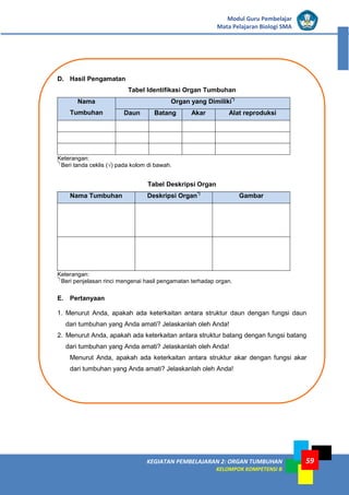 KEGIATAN PEMBELAJARAN 2: ORGAN TUMBUHAN
KELOMPOK KOMPETENSI B
Modul Guru Pembelajar
Mata Pelajaran Biologi SMA
59
D. Hasil Pengamatan
Tabel Identifikasi Organ Tumbuhan
Nama
Tumbuhan
Organ yang Dimiliki*)
Daun Batang Akar Alat reproduksi
Keterangan:
*)
Beri tanda ceklis (√) pada kolom di bawah.
Tabel Deskripsi Organ
Nama Tumbuhan Deskripsi Organ*)
Gambar
Keterangan:
*)
Beri penjelasan rinci mengenai hasil pengamatan terhadap organ.
E. Pertanyaan
1. Menurut Anda, apakah ada keterkaitan antara struktur daun dengan fungsi daun
dari tumbuhan yang Anda amati? Jelaskanlah oleh Anda!
2. Menurut Anda, apakah ada keterkaitan antara struktur batang dengan fungsi batang
dari tumbuhan yang Anda amati? Jelaskanlah oleh Anda!
Menurut Anda, apakah ada keterkaitan antara struktur akar dengan fungsi akar
dari tumbuhan yang Anda amati? Jelaskanlah oleh Anda!
 