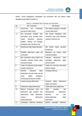 LISTRIK untuk SMP
KEGIATAN PEMBELAJARAN 3: BIOSEL
KELOMPOK KOMPETENSI B
Modul Guru Pembelajar
Mata Pelajaran Biologi SMA
75
teratur. Untuk lengkapnya perbedaan sel tumbuhan dan sel hewan dapat
dipelajari pada tabel di bawah ini:
Tabel 3.1. Perbedaan Sel Tumbuhan dan Sel hewan
No. Sel Tumbuhan Sel Hewan
1 Umumnya sel tumbuhan
berukuran lebih besar.
Sel hewah biasanya memiliki
ukuran lebih kecil.
2 Sel tumbuhan dibatasi oleh
pembatas yang bersifat kaku
(rigid) berbahan selulosa
disebut dinding sel sebagai
tambahan dari membran sel.
Sel hewan diselaputi oleh
membran tipis yang fleksibel
disebut membran sel.
3 Bentuknya tidak dapat berubah. Sel hewan dapat berubah
bentuknya.
4 Plastida ditemukan pada sel
tumbuhan
Biasanya sel hewan tidak
memiliki plastida.
5 Sel tumbuhan yang sudah tua
memiliki vakuola utama yang
berukuran besar
Vakuola berukuran kecil
seringkali ditemukan pada
sel-sel hewan.
6 Letak inti biasanya pada bagian
pinggir sitoplasma.
Letak inti umumnya ada pada
bagian tengah.
7 Sentriol biasanya tidak
ditemukan kecuali pada sel-sel
yang dapat bergerak,
khususnya tumbuhan rendah.
Terdapat Sentriol.
8 Lisosom jarang ditemukan Lisosom selalu ditemukan
dalam sel hewan
9 Glioksisom dapat ditemukan Tidak ditemukan glioksisom
10 Bentuk hubungan antar sel
berbentuk tigh junction dan
desmosom tidak ditemukan
namun ditemukan
plasmodesmata.
Tight junction dan
desmosome ditemukan
diantara sel dan
plasmodesmata tidak
ditemukan.
11 Cadangan makanan biasanya Bentuk cadangan makanan
 
