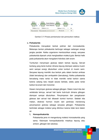 LISTRIK untuk SMP
KEGIATAN PEMBELAJARAN 3: BIOSEL
KELOMPOK KOMPETENSI B
Modul Guru Pembelajar
Mata Pelajaran Biologi SMA
89
Gambar 3.11 Proses pembentukan dan pemecahan maltosa
c. Polisakarida
Polisakarida merupakan bentuk polimer dari monosakarida.
Beberapa bentuk polisakarida berfungsi sebagai cadangan energi
jangka pendek. Ketika organisme membutuhkan energi, senyawa
polisakarida dipecah untuk menghasilkan molekul gula. Bentuk helik
pada polisakarida akan mengalami hidrolisis oleh enzim.
Tumbuhan menyimpan glukosa dalam bentuk tepung. Sel-sel
kentang yang berisi butiran dimana tepung disimpan selama musim
semi sampai energi dibutuhkan untuk tumbuh di musim semi.
Senyawa tepung memiliki dua bentuk yaitu dalam bentuk amilose
(tidak bercabang) dan amilopektin (bercabang). Ketika polisakarida
bercabang maka rantai ini tidak memiliki rantai karbon utama
karena cabang baru terjadi secara berkala, selalu pada rantai
karbon ke-enam dari monomer.
Hewan menyimpan glukosa sebagai glikogen. Dalam tubuh kita dan
vertebrata lainnya, sel-sel hati berisi butir-butir dimana glikogen
disimpan sampai dibutuhkan. Penyimpanan dan pengeluaran
glokosa dari sel-sel hati dibawah kontrol hormon. Setelah kita
makan, ekskresi hormon insulin dari pankreas mendorong
penyimpanan glukosa sebagai senyawa glikogen. Polisakarida
bertindak sebagai molekul yang ditimbun karena tidak larut dalam
air.
1) Homopolisakarida
Polisakarida jenis ini mengandung molekul monosakarida yang
sama. Kelompok homopolisakarida misalnya tepung atau
amilum, glikogen dan selulosa.
 