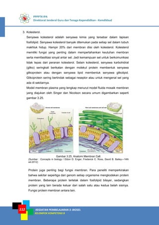 PPPPTK IPA
Direktorat Jenderal Guru dan Tenaga Kependidikan - Kemdikbud
KEGIATAN PEMBELAJARAN 3: BIOSEL
KELOMPOK KOMPETENSI B
112
3. Kolesterol.
Senyawa kolesterol adalah senyawa kimia yang tersebar dalam lapisan
fosfolipid. Senyawa kolesterol banyak ditemukan pada setiap sel dalam tubuh
makhluk hidup. Hampir 20% dari membran diisi oleh kolesterol. Kolesterol
memiliki fungsi yang penting dalam mempertahankan keutuhan membran
serta memfasilitasi sinyal antar sel. Jadi kemampuan sel untuk berkomunikasi
tidak lepas dari peranan kolesterol. Selain kolesterol, senyawa karbohidrat
(gliko) seringkali berikatan dengan molekul protein membentuk senyawa
glikoprotein atau dengan senyawa lipid membentuk senyawa glikolipid.
Glikoprotein sering bertindak sebagai reseptor atau untuk mengenal sel yang
ada di sekitarnya.
Model membran plasma yang lengkap menurut model fluida mosaik membran
yang diajukan oleh Singer dan Nicolson secara umum digambarkan seperti
gambar 3.25.
Gambar 3.25. Anatomi Membran Cell.
(Sumber : Concepts in biology / Eldon D. Enger, Frederick C. Ross, David B. Bailey—14th
ed.2012)
Protein juga penting bagi fungsi membran. Para peneliti memperkirakan
bahwa sekitar sepertiga dari genom setiap organisme mengkodekan protein
membran. Beberapa protein terletak dalam fosfolipid bilayer, sedangkan
protein yang lain berada keluar dari salah satu atau kedua belah sisinya.
Fungsi protein membran antara lain.
 
