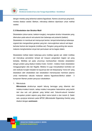 PPPPTK IPA
Direktorat Jenderal Guru dan Tenaga Kependidikan - Kemdikbud
KEGIATAN PEMBELAJARAN 3: BIOSEL
KELOMPOK KOMPETENSI B
118
dengan mereka yang terbentuk selama fagositosis. Karena ukurannya yang kecil,
mereka disebut vesikel. Bahkan, mikroskop elektron diperlukan untuk melihat
vesikel.
C.5 Sitoskeleton dan Struktur Motil
Sitoskeleton (sitos=cairan, keleton=rangka), merupakan struktur intraseluler yang
ditemukan pada seluruh sel eukariot dan beberapa sel prokariot (bakteri).
Sitoskeleton ini membuat sel mempunyai bentuk, tempat tertambatnya beberapa
organel dan mengarahkan gerakan yang lain, memungkinkan seluruh sel dapat
bertukar bentuk dan bergerak (motilitas sel). Pengatur yang penting dan secara
mekanis menghantarkan sinyal dari permukaan sel ke bagian dalam.
Sitoskeleton terlibat dalam beberapa jenis motilitas (gerak) sel. istilah motilitas
sel mencakup perubahan tempat sel maupun pergerakan bagian sel yang
terbatas. Motilitas sel pada umumnya membutuhkan interaksi sitoskeleton
dengan protein yang disebut molekul motor. Contoh : molekul motor sitoskeleton
menggoyangkan silia dan flagella. Molekul ini juga menyebabkan kontraksi sel
otot vesikula mungkin berjalan ke tujuannya dan sel disepanjang “mono-rel” yang
disediakan oleh sitoskeleton dan sitoskeleton memanipulasi membran plasma
untuk membentuk vakuola makanan selama fagositosis.Berikut adalah 3
komponen filamen protein penyusun sitoskeleton:
1. Mikrotubula
Mikrotubula strukturnya seperti tabung berongga yang dibentuk dari
molekul-molekul tubulin, setiap molekul merupakan heterodimer yang terdiri
dari dua sub unit globular yang terikat erat. Subunit-subunit tersebut
merupakan protein sejenis yang diberi nama tubulin α dan tubulin β. Salah
satu ujungnya tertanam pada MTOC (Microtubulle Organizing Centre) yang
disebut dengan sentrosom.
 