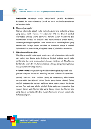 PPPPTK IPA
Direktorat Jenderal Guru dan Tenaga Kependidikan - Kemdikbud
KEGIATAN PEMBELAJARAN 3: BIOSEL
KELOMPOK KOMPETENSI B
120
Mikrotubula mempunyai fungsi mengarahkan gerakan komponen-
komponen sel, mempertahankan bentuk sel, serta membantu pembelahan
sel secara mitosis.
2. Filamen intermediet
Filamen intermediet adalah rantai molekul protein yang berbentuk untaian
yang saling melilit. Filamen ini berdiameter 8-10 nm. Disebut serabut
intermediet (antara) karena berukuran diantara ukuran mikrotubula dan
mikrofilamen. Serabut ini tersusun atas molekul-molekul protein fibrosa.
Strukturnya menggulung seperti kabel, terbentuk dari beberapa protein yang
berbeda dari keluarga keratin. Di dalam sel, filamen ini berada di sebelah
dalam membran, membentuk jaring-jaring (network) disebut nuclear lamina.
3. Mikrofilamen/filamen aktin
Mikrofilamen adalah rantai ganda protein yang saling bertaut dan tipis, terdiri
dari protein yang disebut aktin. Strukturnya fleksibel, terdapat banyak pada
sel korteks dan yang terkonsentrasi dibawah membran sel. Mikrofilamen
berdiameter antara 5-6 nm. Karena kecilnya sehingga pengamatannya harus
menggunakan mikroskop elektron.
Gerakan sel otot: ditinjau dari segi mikroskopis terdapat dua jenis sel otot
yaitu sel otot polos dan sel otot melintang atau lurik. Sel otot lurik berukuran
panjang 1-40 mm, lebar 10-50μm. Setiap sel mengandung lebih kurang
seratus nuklei dan sejumlah berkas filamen yang disebut miofibril. Setiap
miofibril tersusun dari deretan sarkomer yang masing-masing berukuran
panjang 2μm pada saat sel otot istirahat. Setiap sarkomer mengandung dua
macam filamen yaitu filamen tebal yang disebut miosin dan filamen tipis
yang disebut kompleks aktin. Dua macam filamen ini tersusun sejajar satu
terhadap yang lain.
 