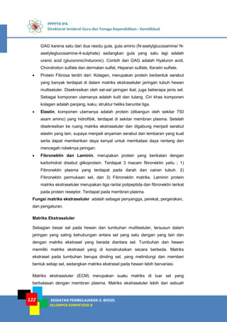 PPPPTK IPA
Direktorat Jenderal Guru dan Tenaga Kependidikan - Kemdikbud
KEGIATAN PEMBELAJARAN 3: BIOSEL
KELOMPOK KOMPETENSI B
122
GAG karena satu dari dua residu gula, gula amino (N-asetylglucosamine/ N-
asetyleglucosamine-4-sulphate) sedangkan gula yang satu lagi adalah
uranic acid (glucoronic/induronic). Contoh dari GAG adalah Hyaluron acid,
Chondrotion sulfate dan dermatan sulfat, Heparan sulfate, Keratin sulfate.
• Protein Fibrosa terdiri dari: Kolagen, merupakan protein berbentuk serabut
yang banyak terdapat di dalam matriks ekstraseluler jaringan tubuh hewan
multiseluler. Disekresikan oleh sel-sel jaringan ikat, juga beberapa jenis sel.
Sebagai komponen utamanya adalah kulit dan tulang. Ciri khas komponen
kolagen adalah panjang, kaku, struktur heliks beruntai tiga.
• Elastin, komponen utamanya adalah protein (dibangun oleh sekitar 750
asam amino) yang hidrofibik, terdapat di sekitar membran plasma. Setelah
disekresikan ke ruang matriks ekstraseluler dan digabung menjadi serabut
elastin yang lain, supaya menjadi anyaman serabut dan lembaran yang kuat
serta dapat memberikan daya kenyal untuk membatasi daya rentang dan
mencegah robeknya jaringan.
• Fibronektin dan Laminin, merupakan protein yang berikatan dengan
karbohidrat disebut glikoprotein. Terdapat 3 macam fibronektin yaitu ; 1)
Fibronektin plasma yang terdapat pada darah dan cairan tubuh. 2)
Fibronektin permukaan sel, dan 3) Fibronektin matriks. Laminin protein
matriks ekstraseluler merupakan tiga rantai polipeptida dan fibronektin terikat
pada protein reseptor. Terdapat pada membran plasma.
Fungsi matriks ekstraseluler adalah sebagai penyangga, perekat, pergerakan,
dan pengaturan.
Matriks Ekstraseluler
Sebagian besar sel pada hewan dan tumbuhan mulitiseluler, tersusun dalam
jaringan yang saling behubungan antara sel yang satu dengan yang lain dan
dengan matriks ekstrasel yang berada diantara sel. Tumbuhan dan hewan
memiliki matriks ekstrasel yang di konstruksikan secara berbeda. Matriks
ekstrasel pada tumbuhan berupa dinding sel, yang melindungi dan memberi
bentuk setiap sel, sedangkan matriks ekstrasel pada hewan lebih bervariasi.
Matriks ekstraseluler (ECM) merupakan suatu matriks di luar sel yang
berbatasan dengan membran plasma. Matriks ekstraseluler lebih dari sebuah
 
