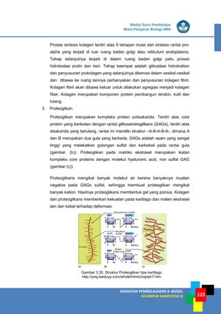 LISTRIK untuk SMP
KEGIATAN PEMBELAJARAN 3: BIOSEL
KELOMPOK KOMPETENSI B
Modul Guru Pembelajar
Mata Pelajaran Biologi SMA
125
Proses sintesis kolagen terdiri atas 9 tahapan mulai dari sintesis rantai pro-
alpha yang terjadi di luar ruang badan golgi atau retikulum endoplasma.
Tahap selanjutnya terjadi di dalam ruang badan golgi yaitu proses
hidroksilasi prolin dan lisin. Tahap keempat adalah glikosilasi hidroksilisin
dan penyusunan prokolagen yang selanjutnya dikemas dalam vesikel-vesikel
dan dibawa ke ruang lainnya perbanyakan dan penyusunan kolagen fibril.
Kolagen fibril akan dibawa keluar untuk dilakukan agregasi menjadi kolagen
fiber. Kolagen merupakan komponen protein pembangun tendon, kulit dan
tulang.
3. Proteoglikan
Proteoglikan merupakan kompleks protein polisakarida. Terdiri atas core
protein yang berikatan dengan rantai glikosaminoglikans (GAGs), terdiri atas
disakarida yang berulang, rantai ini memiliki struktur –A-B-A-B-A-, dimana A
dan B merupakan dua gula yang berbeda. GAGs adalah asam yang sangat
tinggi yang melekatkan golongan sulfat dan karboksil pada rantai gula
(gambar. (b)). Proteoglikan pada matriks ekstrasel merupakan ikatan
kompleks core proteins dengan molekul hyaluronic acid, non sulfat GAG
(gambar (c)).
Proteoglikans mengikat banyak molekul air karena banyaknya muatan
negative pada GAGs sulfat, sehingga membuat proteoglikan mengikat
banyak kation. Hasilnya proteoglikans membentuk gel yang porous. Kolagen
dan proteoglikans memberikan kekuatan pada kartilago dan materi ekstrasel
lain dan kebal terhadap deformasi.
Gambar 3.35. Struktur Proteoglikan tipe kartilago
http://yxsj.baiduyy.com/whole/html/chapter7.htm
 