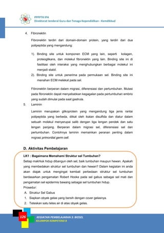 PPPPTK IPA
Direktorat Jenderal Guru dan Tenaga Kependidikan - Kemdikbud
KEGIATAN PEMBELAJARAN 3: BIOSEL
KELOMPOK KOMPETENSI B
126
4. Fibronektin
Fibronektin terdiri dari domain-domain protein, yang terdiri dari dua
polipeptida yang mengandung:
1). Binding site untuk komponen ECM yang lain, seperti kolagen,
proteoglikans, dan molekul fibronektin yang lain. Binding site ini di
fasilitasi oleh interaksi yang menghubungkan berbagai molekul ini
menjadi stabil.
2). Binding site untuk penerima pada permukaan sel. Binding site ini
menahan ECM melekat pada sel.
Fibronektin berperan dalam migrasi, diferensiasi dan pertumbuhan. Mutasi
pada fibronektin dapat menyebabkan kegagalan pada pertumbuhan embrio
yang sudah dimulai pada saat gastrula.
5. Laminin
Laminin merupakan glikoprotein yang mengandung tiga jenis rantai
polipeptida yang berbeda, diikat oleh ikatan disulfida dan diatur dalam
sebuah molekul menyerupai salib dengan tiga lengan pendek dan satu
lengan panjang. Berperan dalam migrasi sel, diferensiasi sel dan
pertumbuhan. Contohnya laminin memainkan peranan penting dalam
migrasi primordial germ cell.
D. Aktivitas Pembelajaran
LK1 : Bagaimana Memahami Struktur sel Tumbuhan?
Setiap makhluk hidup dibangun oleh sel, baik tumbuhan maupun hewan. Apakah
yang membedakan struktur sel tumbuhan dan hewan? Dalam kegiatan ini anda
akan diajak untuk mengingat kembali perbedaan struktur sel tumbuhan
berdasarkan pengamatan Robert Hooke pada sel gabus sebagai sel mati dan
pengamatan sel epidermis bawang sebagai sel tumbuhan hidup.
Prosedur:
A. Struktur Sel Gabus
1. Siapkan obyek gelas yang bersih dengan cover gelasnya.
2. Teteskan satu tetes air di atas obyek gelas.
 