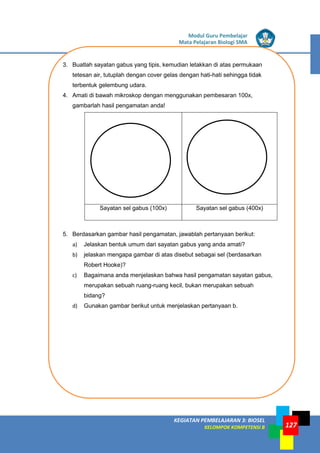LISTRIK untuk SMP
KEGIATAN PEMBELAJARAN 3: BIOSEL
KELOMPOK KOMPETENSI B
Modul Guru Pembelajar
Mata Pelajaran Biologi SMA
127
3. Buatlah sayatan gabus yang tipis, kemudian letakkan di atas permukaan
tetesan air, tutuplah dengan cover gelas dengan hati-hati sehingga tidak
terbentuk gelembung udara.
4. Amati di bawah mikroskop dengan menggunakan pembesaran 100x,
gambarlah hasil pengamatan anda!
Sayatan sel gabus (100x) Sayatan sel gabus (400x)
5. Berdasarkan gambar hasil pengamatan, jawablah pertanyaan berikut:
a) Jelaskan bentuk umum dari sayatan gabus yang anda amati?
b) jelaskan mengapa gambar di atas disebut sebagai sel (berdasarkan
Robert Hooke)?
c) Bagaimana anda menjelaskan bahwa hasil pengamatan sayatan gabus,
merupakan sebuah ruang-ruang kecil, bukan merupakan sebuah
bidang?
d) Gunakan gambar berikut untuk menjelaskan pertanyaan b.
 