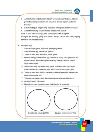 LISTRIK untuk SMP
KEGIATAN PEMBELAJARAN 3: BIOSEL
KELOMPOK KOMPETENSI B
Modul Guru Pembelajar
Mata Pelajaran Biologi SMA
129
c. Amati struktur sel gabus dan lapisan bawang (bagian-bagian), apakah
perbedaan dan persamaan dari sel gabus dan sel lapisan epidermis
bawang?
d. Sebutkan bagian-bagian yang bisa anda amati pada lapisan bawang?
e. Amati film tentang pengukuran sel pada alamat berikut:
Field of View https://www.youtube.com/watch?v=iNh3FatqAAY.
Hitunglah sel bawang yang anda amati. Berapa ukuran rata-rata panjang
dan lebar untuk setiap selnya?
C. Sel Epitel Pipi
1. Siapkan obyek gelas dan cover glass yang bersih.
2. Siapkan tusuk gigi dan larutan yodium.
3. Teteskan satu tetes air di atas obyek gelas.
4. Dengan menggunakan tusuk gigi, sentuhkan ujung tusuk gigi pada pipi
bagian dalam. Sentuhkan ujung tusuk gigi dengan hati-hati, jangan
sapai melukai pipi.
5. Sentuhkan ujung tusuk gigi yang sudah dioleskan pada pipi bagian
dalam di atas permukaan air yang ada di permukaan obyek gelas.
6. Teteskan satu tetes yodium pada permukaan obyek gelas yang sudah
dioleh ujung tusuk gigi.
7. Tutup dengan cover gelas dan hindarkan terbetuknya gelembung.
8. Amati di bawah mikroskop
9. Gambarkan hasil pengatan anda pada bagian di bawah ini:
Sayatan sel bawang (100x) Sayatan sel bawang (400x)
 